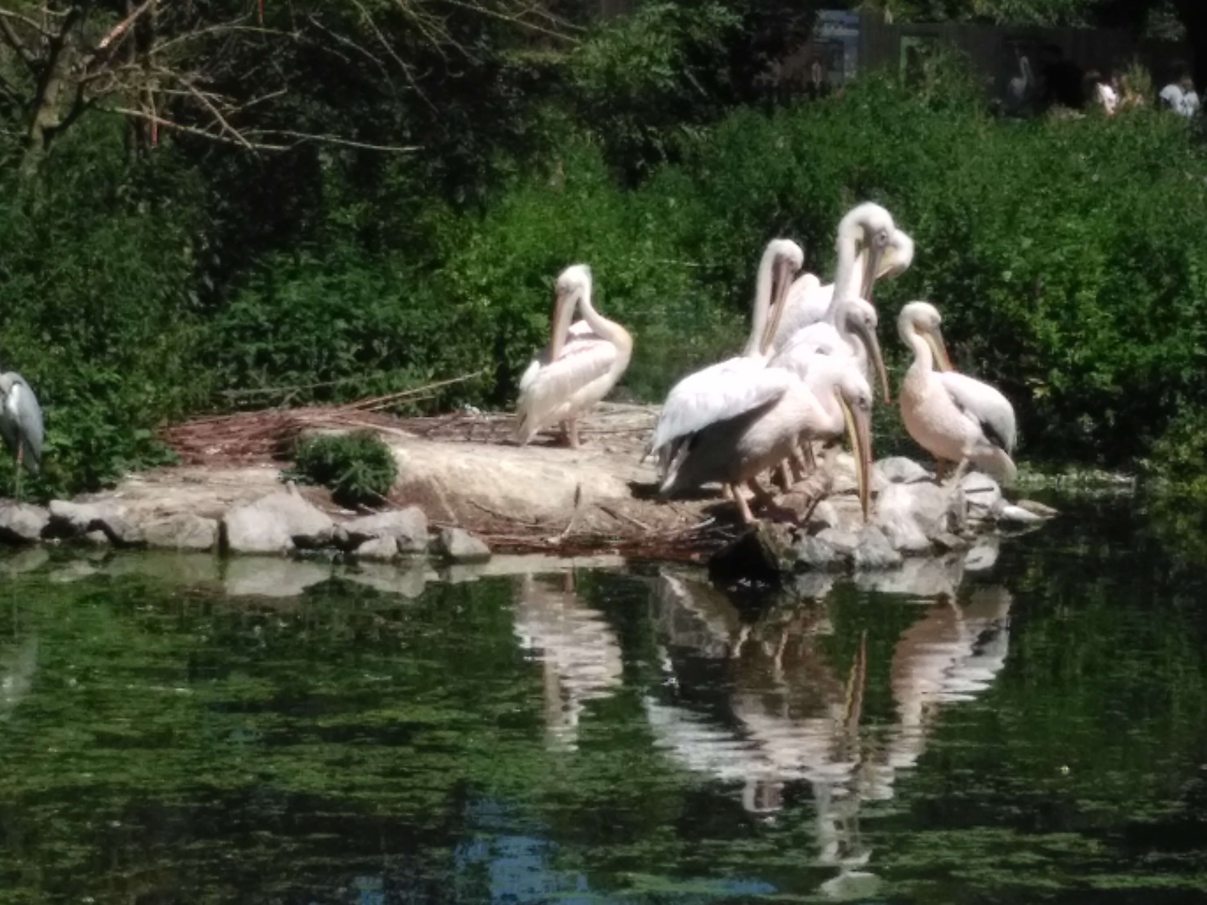 Photo n° 9 de l'avis de Alain.o fait le 26/06/2017 à 12:31