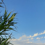 Photo n°5 de l'avis de Tamara.g fait le 01/07/2022 à 18:40 sur le  Ristorante Trabocco Punta Fornace à Marina di San Vito