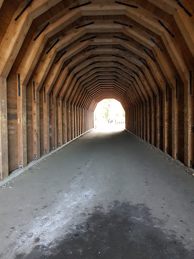 Waterfall «Horsetail Falls», reviews and photos, Historic Columbia River Hwy, Cascade Locks, OR 97014, USA