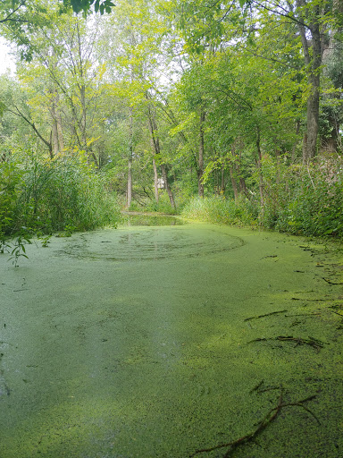 Park «Bass Lake Park», reviews and photos, 3450 Glenhurst Ave, Minneapolis, MN 55416, USA