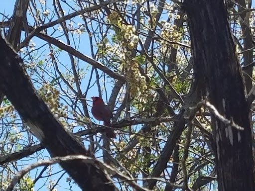 National Park «Canyon Lake Camp Park», reviews and photos, Canyon Park Rd, Canyon Lake, TX 78133, USA