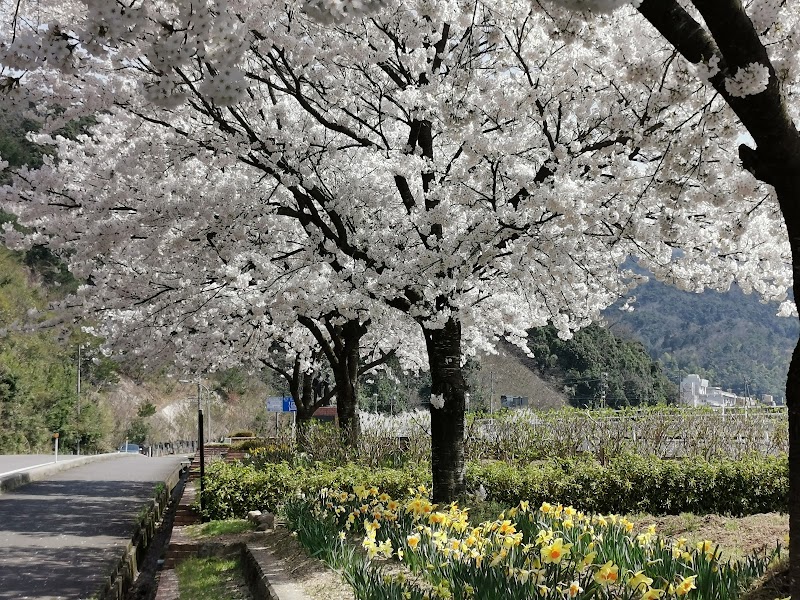 キュリー公園