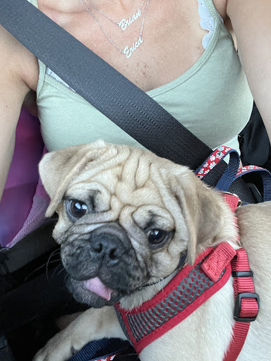 Pet Store «PV Pets», reviews and photos, 233 S Broadway, Pennsville, NJ 08070, USA