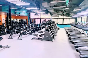 The New Gym image