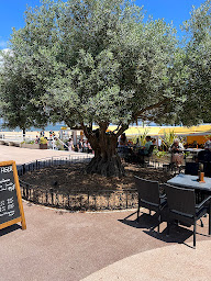Photo n°136 de Le Thiers à Arcachon ()