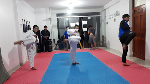 UFJ Sports Taekwondo Cusco