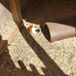 Photo n°3 de l'avis de blabu.l fait le 30/03/2018 à 11:25 sur le  Familotel Ottonenhof à Diemelsee