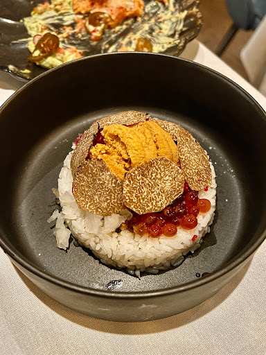Sea Urchin
