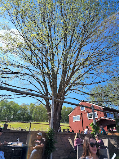 Vineyard «Rosabianca Vineyards», reviews and photos, 1536 Middletown Ave, Northford, CT 06472, USA