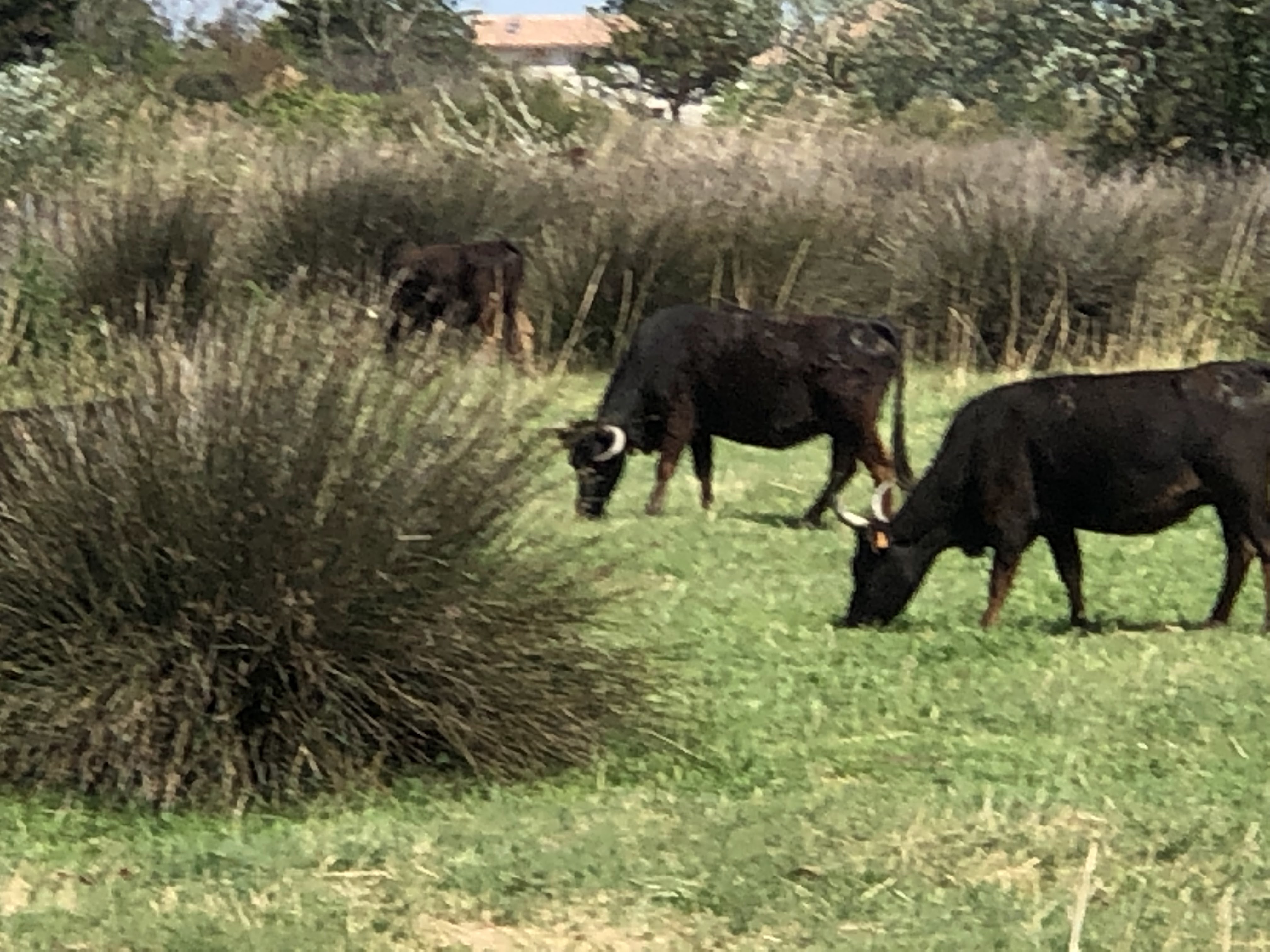 Photo n° 5 de l'avis de Christophe.e fait le 30/04/2019 à 17:51