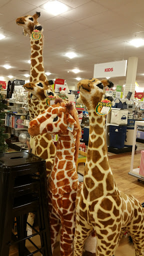 Department Store «HomeGoods», reviews and photos, 65 Commerce Way, Seekonk, MA 02771, USA