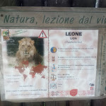 Photo n°10 de l'avis de isabella.h fait le 23/01/2019 à 15:58 sur le  Parco Zoo Falconara Srl à Falconara Marittima