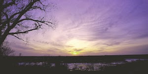 Riverview Park - photo 83