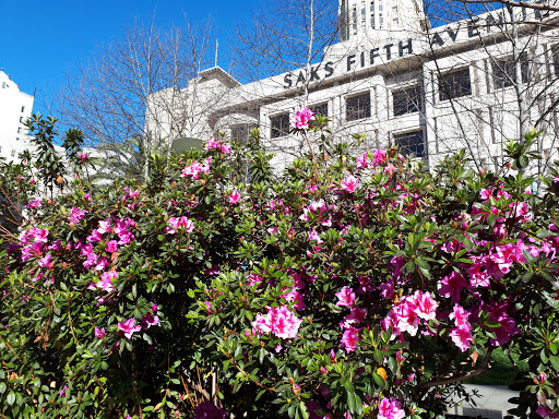 Shopping Mall «Union Square, San Francisco», reviews and photos, 333 Post St, San Francisco, CA 94108, USA