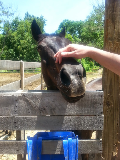 Meadowview Farm