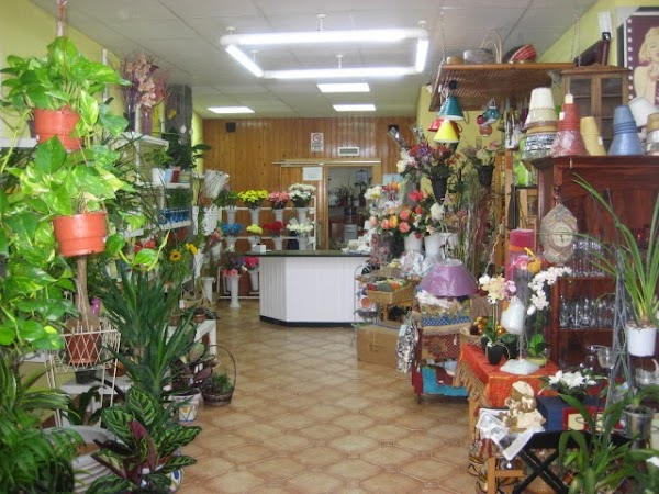 Floristería La Trastienda