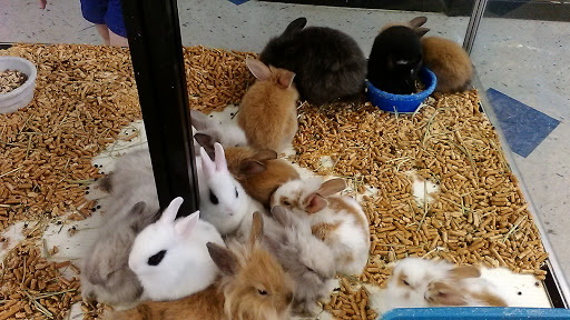 Pet Store «Fish Bowl», reviews and photos, 2117 E Race Ave, Searcy, AR 72143, USA