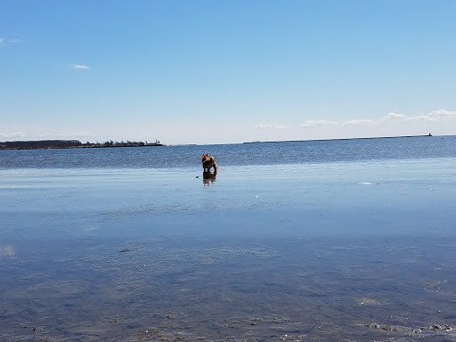 Nature Preserve «Sandy Point Bird Sanctuary», reviews and photos, Beach St, West Haven, CT 06516, USA