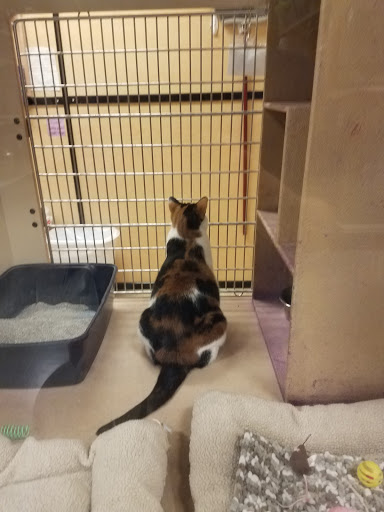 Pet Supply Store «PetSmart», reviews and photos, 1125 Quentin Rd, Lebanon, PA 17042, USA