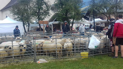 salle des fêtes à Servoz
