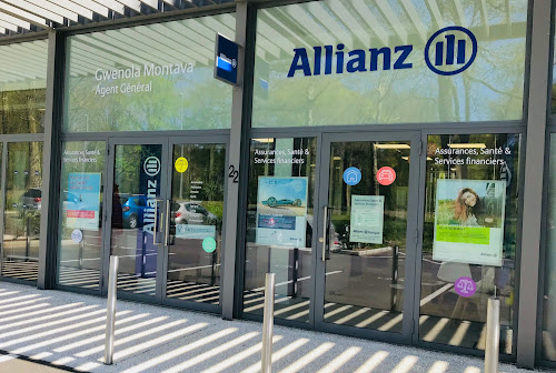 Agence d'assurance Allianz Assurance FONTAINEBLEAU - Gwenola MONTAVA Fontainebleau