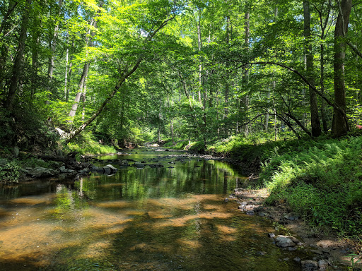 Prince William Forest Park