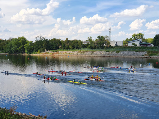 Wassersportverein Mannheim-Sandhofen e. V.