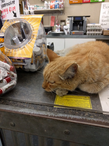 Pet Supply Store «Western Feed & Pet Supply», reviews and photos, 5935 Don Way, Carmichael, CA 95608, USA