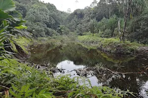 Mare Aux Cochons Trail image