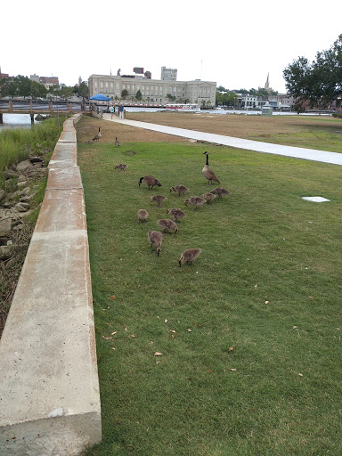 History Museum «Battleship North Carolina», reviews and photos, 1 Battleship Rd NE, Wilmington, NC 28401, USA