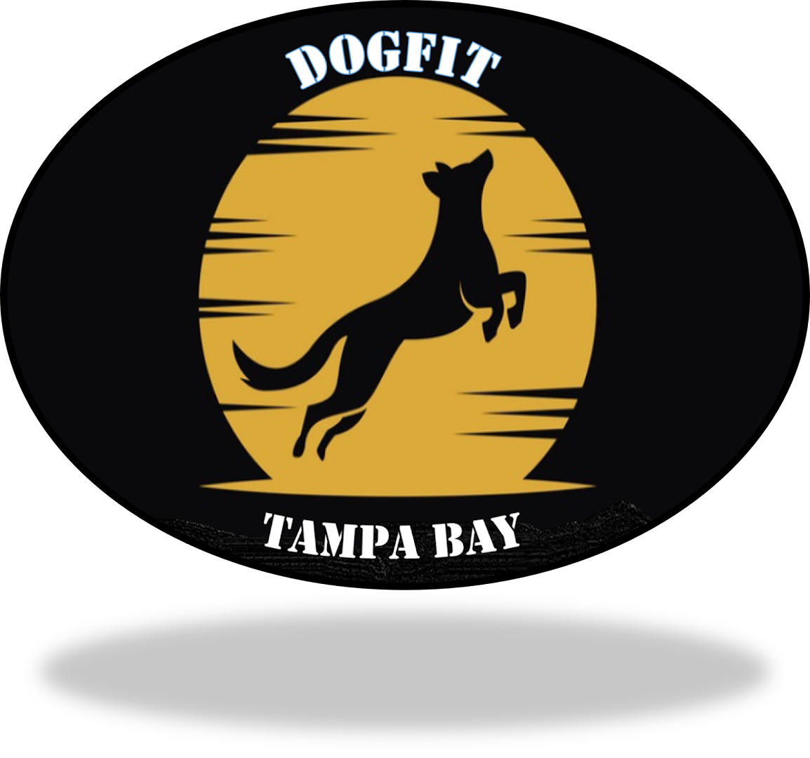 DogFit Tampa Bay
