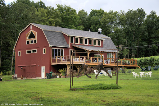 Vineyard «Lost Acres Vineyard», reviews and photos, 80 Lost Acres Rd, North Granby, CT 06060, USA