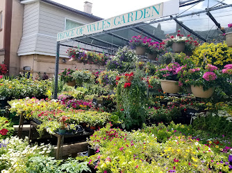 Prince of Wales Fruit Market and the Prince of Wales Garden Centre