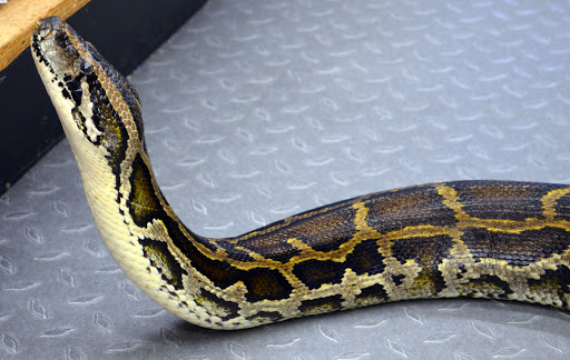 Pet Store «B & B Pet Stop, Inc.», reviews and photos, 5035 Cottage Hill Rd, Mobile, AL 36609, USA