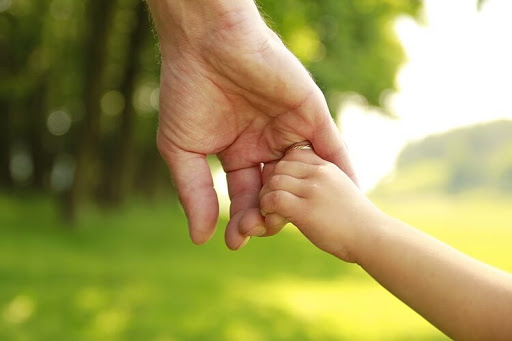 Attorney «Law Offices of Jason K.S. Porter, P.A.», reviews and photos