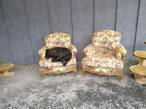 Dr. med. vet. Dirk Kuntze Tierarztpraxis unter Bickendorf, 