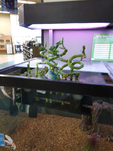 Pet Supply Store «Petco Animal Supplies», reviews and photos, 1704 US Hwy 27 S, Sebring, FL 33870, USA