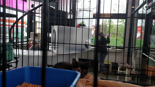 Animal Shelter «One of A Kind Pet Rescue», reviews and photos, 1929 W Market St, Akron, OH 44313, USA