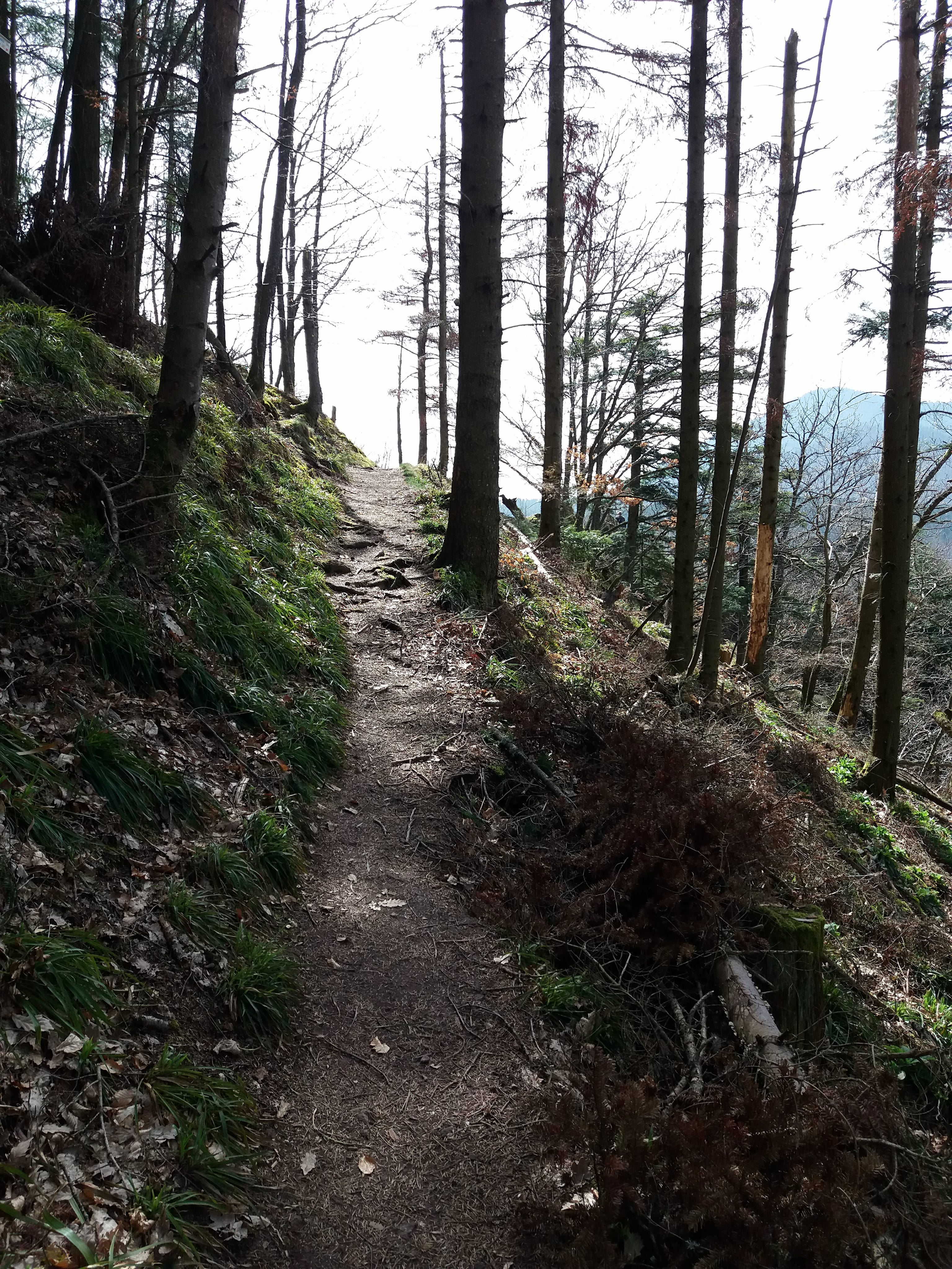 Photo n° 32 de l'avis de yann.a fait le 12/04/2018 à 05:08