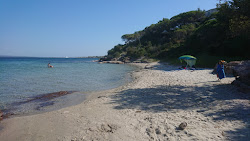 Cantagallina beach'in fotoğrafı biraz temiz temizlik seviyesi ile