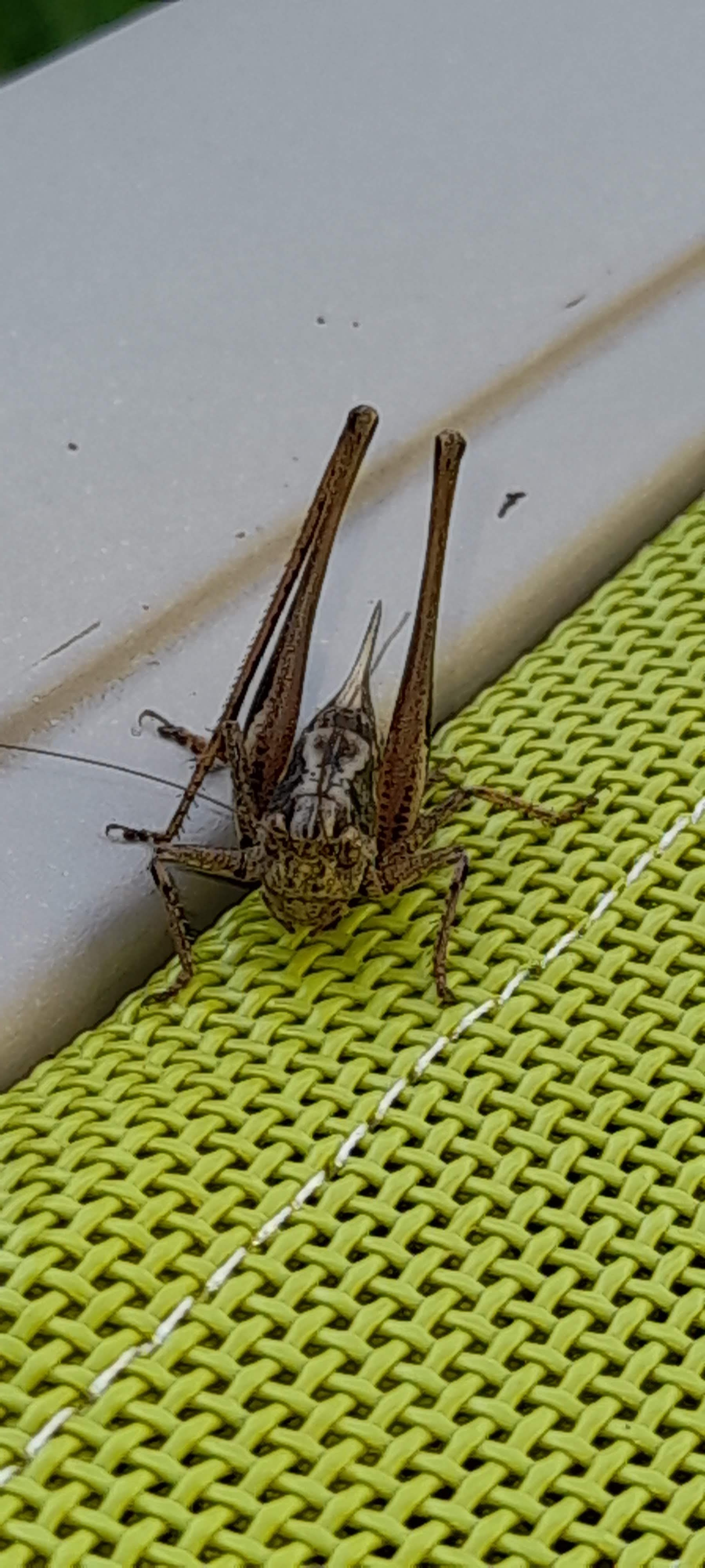 Photo n° 4 de l'avis de Albert.o fait le 15/08/2021 à 17:09