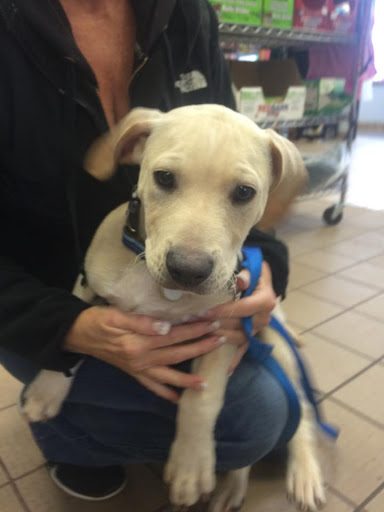 Pet Store «Pets of Portage», reviews and photos, 2219 W Wisconsin St, Portage, WI 53901, USA