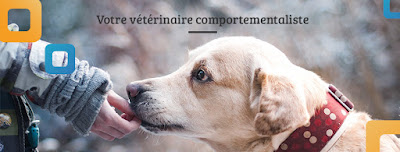 Vétérinaire Francine Lossois à Ille-sur-Têt