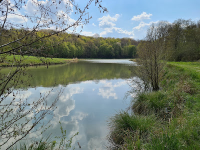 Etang du Brossard à Les Hermites