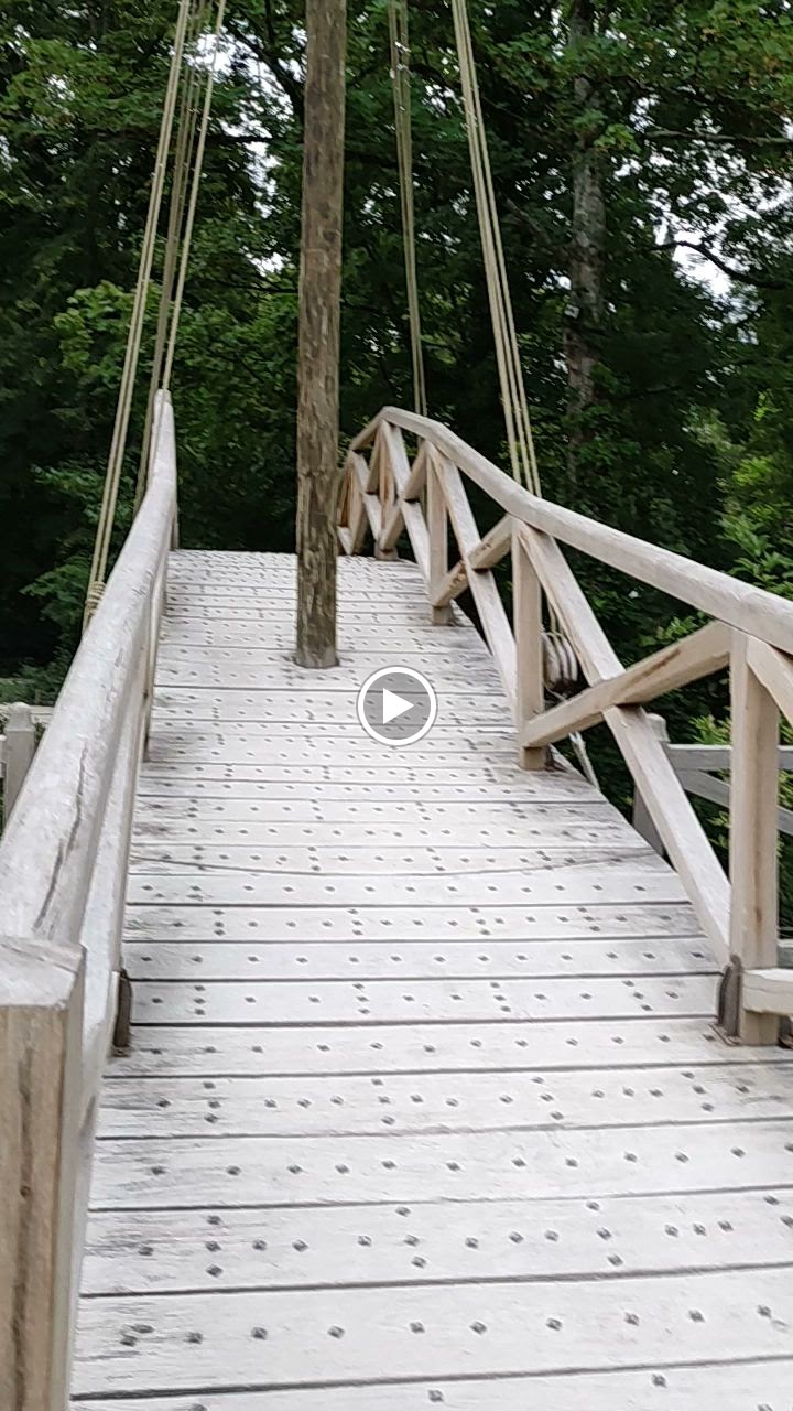 Photo n° 5 de l'avis de X... fait le 24/08/2023 à 10:17