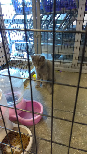 Pet Store «PetSmart», reviews and photos, 1580 Gateway Blvd, Fairfield, CA 94533, USA