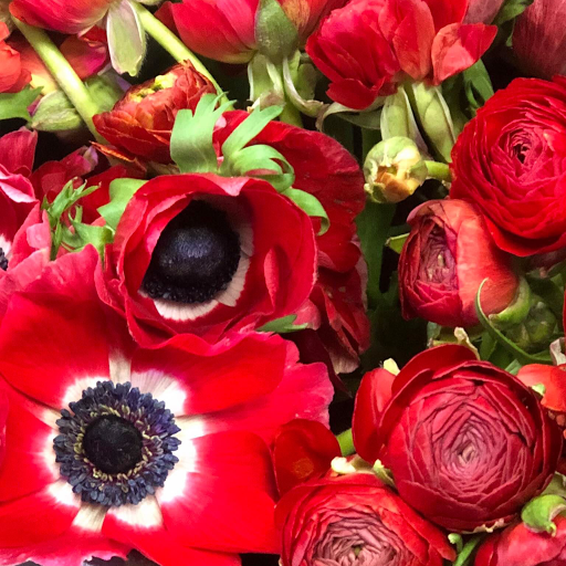 Florist «Plumeria Botanical Boutique», reviews and photos, 1364 W Michigan Ave, Battle Creek, MI 49037, USA