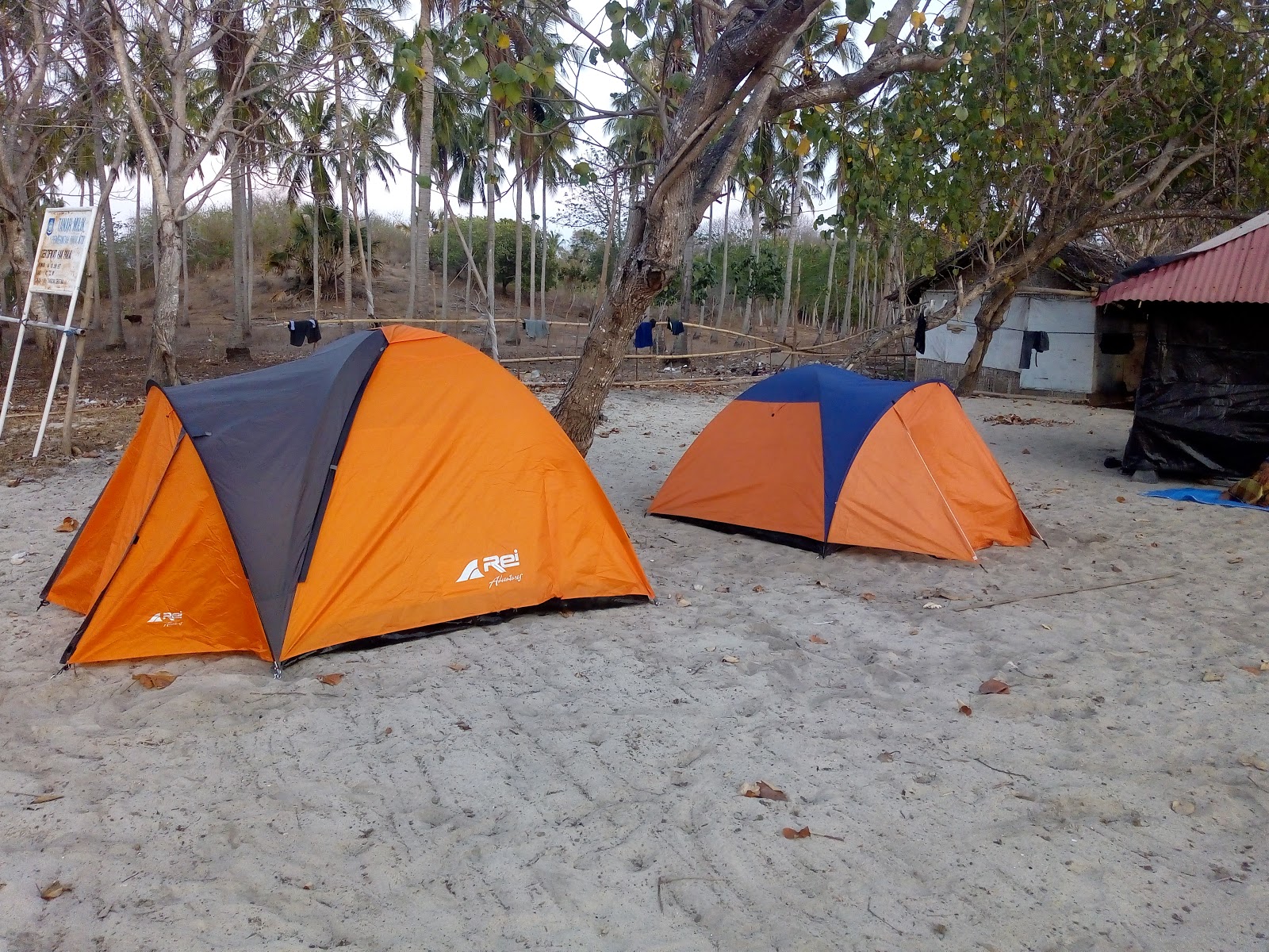 Gili Tangkong Beach photo #8