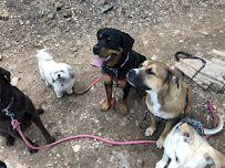 Mc’s Dog House - Photo 9 - Car repair in , Thornton