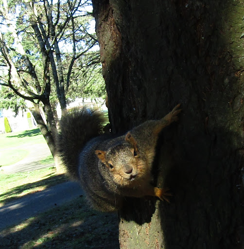 Pawn Shop «Silver Lining Jewelry & Loan», reviews and photos, 2122 NE Sandy Blvd, Portland, OR 97232, USA